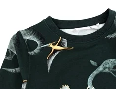 Name It pine grove dino sweatshirt